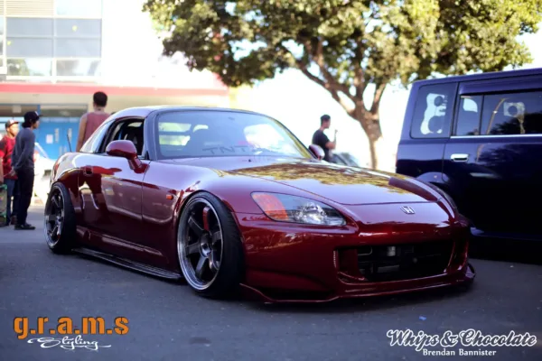 Universal Sidesteps - Side Skirt Extensions Carbon 180-220cm - Sidesteps