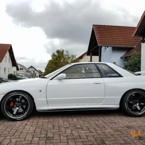 Universal Sidesteps - Side Skirt Extensions Carbon 180-220cm - Sidesteps