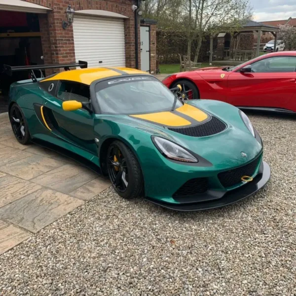 s-l1600 Lotus