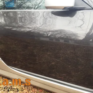 Nissan Z33 350z lightweigt Racing doors - 350z