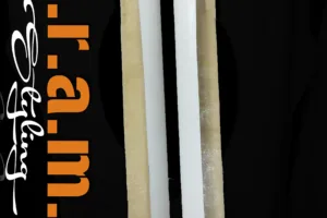 WRC-Style Side Skirts for Subaru Impreza Coupe GC8